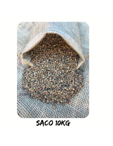 LENTEJA PARDINA 10KG